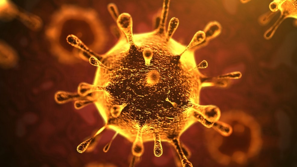Emergenza coronavirus – uffici chiusi al pubblico